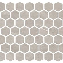 Daltile Core Fundamentals – Prime Field Tile Stamina Grey Hexagon PRIME-RL23HEX