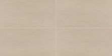 Daltile Synchronic Beige SY31RCT1224TX