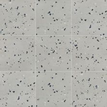 American Olean Color Story Floor Storm Gray Speckle T017SQU1212MT