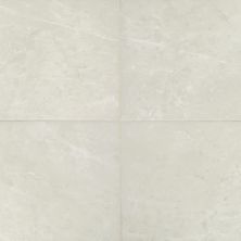 Daltile Core Fundamentals – Prime Field Tile Vitality White 12″x24″ PRIME-RL201224