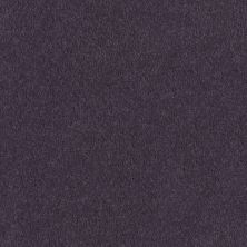 Fabrica Tribute Couleur 115TB-494TB