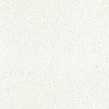 Fabrica Tribute Montrachet 115TB-700TB