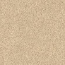 Fabrica Tribute Vogue 115TB-761TB