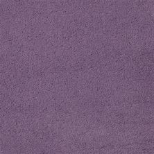 Fabrica Chez 100 Borghese 204CH-CH76