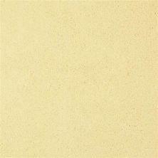 Fabrica Chez 100 Sunshine 204CH-CH10