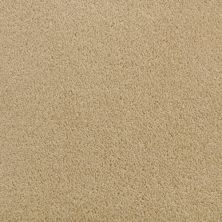 Fabrica Accolade Spiced Curry 209AC-AC14 Fabrica Accolade Spiced Curry 209AC-AC14