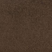 Fabrica Accolade Fossil 209AC-AC18 Fabrica Accolade Fossil 209AC-AC18