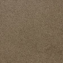 Fabrica Accolade Toffee 209AC-AC31 Fabrica Accolade Toffee 209AC-AC31