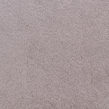 Fabrica Accolade Violetta 209AC-AC68 Fabrica Accolade Violetta 209AC-AC68