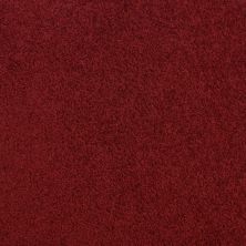 Fabrica Accolade Red Fire 209AC-AC72 Fabrica Accolade Red Fire 209AC-AC72