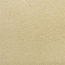 Fabrica Denali Golden Rae 210DN-DN46