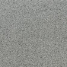 Fabrica Denali Salute 210DN-DN58