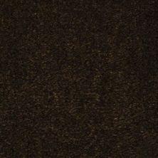 Fabrica Seduction in Dark Chocolate 215SD-SD21