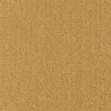 Fabrica Seduction in Torchlight 215SD-SD38