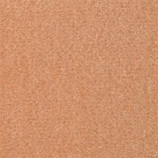 Fabrica Seduction in Tango 215SD-SD40