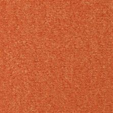 Fabrica Seduction in Cayenne 215SD-SD41