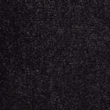 Fabrica Seduction in Black Velvet 215SD-SD60