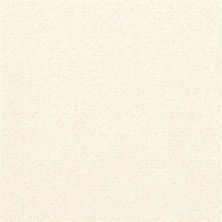 Fabrica Captiva Conch Shell 217CV-721CV