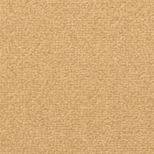 Fabrica Captiva Sandbar 217CV-771CV