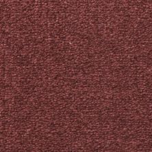 Fabrica St. Croix Passionate 218ST-395ST