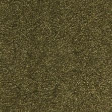 Fabrica Esperanza Verde Oliva 220ES-698ES