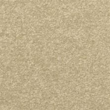 Dixie Home Inspiring Insightful 2302-57326