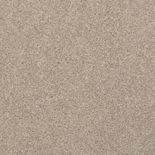 Dixie Home Alluring Driftwood 2454-21238 Dixie Home Alluring Driftwood 2454-21238