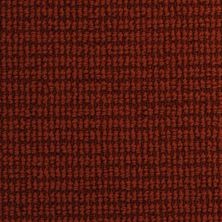 Dixie Home Nature’s Field Outback 2961-86119