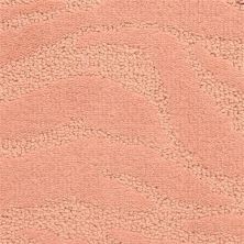 Fabrica Cape Town Jazz 329CW-243CW