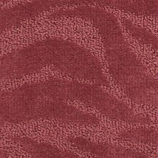 Fabrica Cape Town Bo-Kaap 329CW-374CW