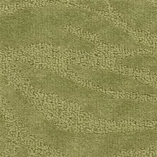 Fabrica Cape Town Chapmans Peak 329CW-681CW