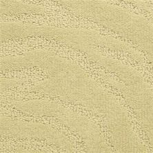 Fabrica Cape Town Signal Hill 329CW-851CW