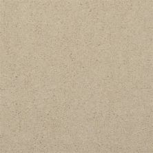 Dixie Home Soft & Silky Sand 4699-16035