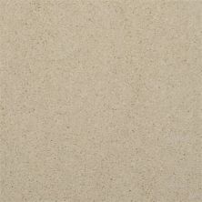 Dixie Home Soft & Silky Sand Motif 4699-16043