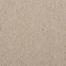 Dixie Home Soft & Silky Salem 4699-26049