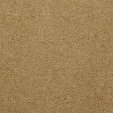 Dixie Home Soft & Silky Russet 4699-26067