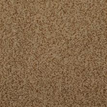 Dixie Home Soft & Silky Sand Dollar 4699-36040