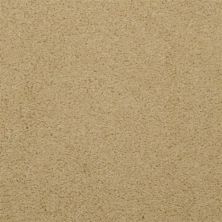 Dixie Home Soft & Silky Russet 4699-46039