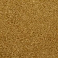 Dixie Home Soft & Silky Salt Pepper 4699-46060