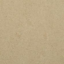 Dixie Home Soft & Silky Salt Pepper 4699-46066