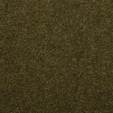 Dixie Home Soft & Silky Sand Dollar 4699-56061