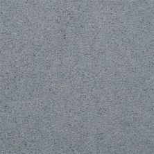 Dixie Home Soft & Silky Sand Dollar 4699-66047