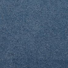 Dixie Home Soft & Silky Salt Pepper 4699-66054