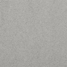 Dixie Home Soft & Silky Salem 4699-66055