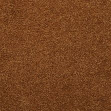 Dixie Home Soft & Silky Sand 4699-76037