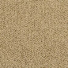 Fabrica Breakers Autumn Gourd 522BK-BK15