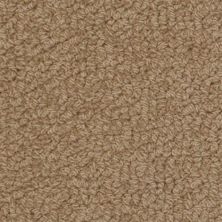 Fabrica Savant Warhol 528SA-859SA