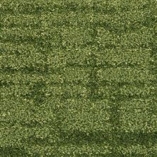 Fabrica Dominique Jaden 534DO-692DO