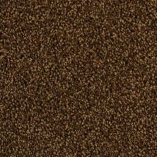 DH Floors Delight Mountain Mist 5453-25775