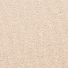 Fabrica Pure Modest 555PE-256PE